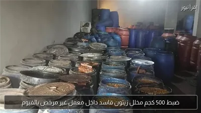 ضبط 500 كجم مخلل زيتون فاسد داخل معمل غير مرخص بالفيوم