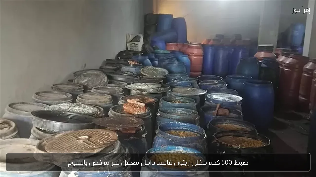 ضبط 500 كجم مخلل زيتون فاسد داخل معمل غير مرخص بالفيوم