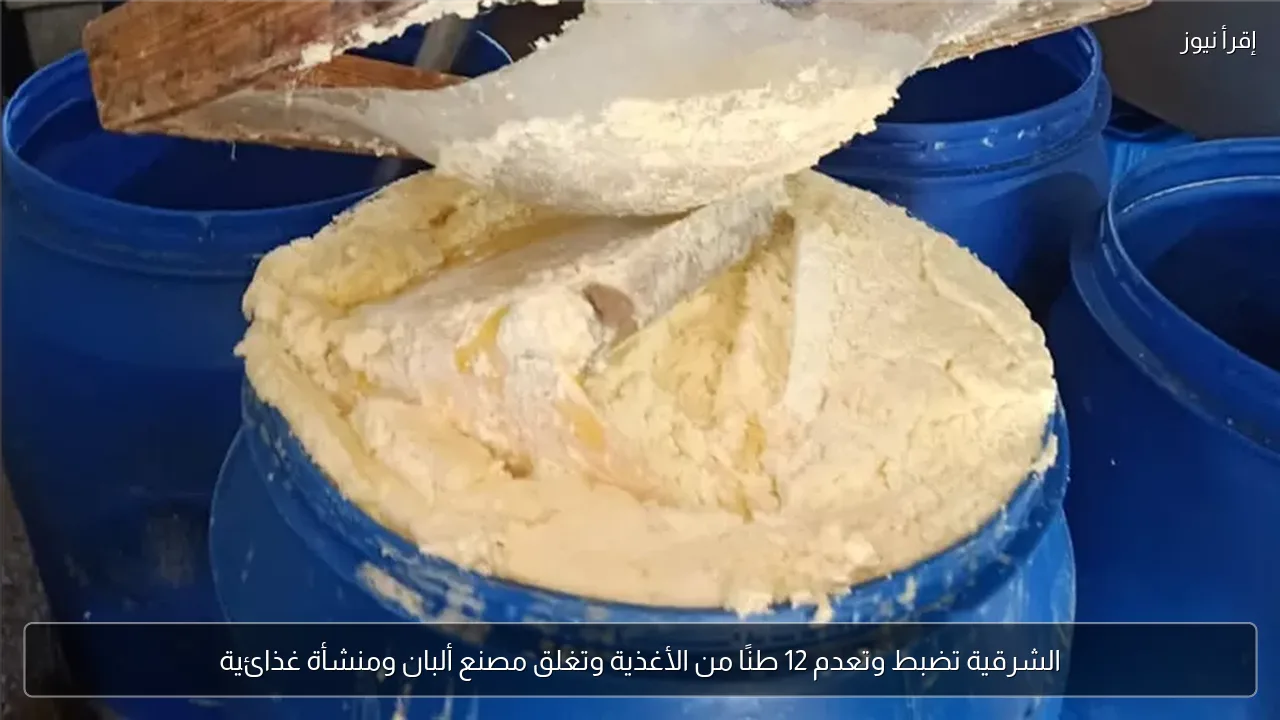 الشرقية تضبط وتعدم 12 طنًا من الأغذية وتغلق مصنع ألبان ومنشأة غذائية