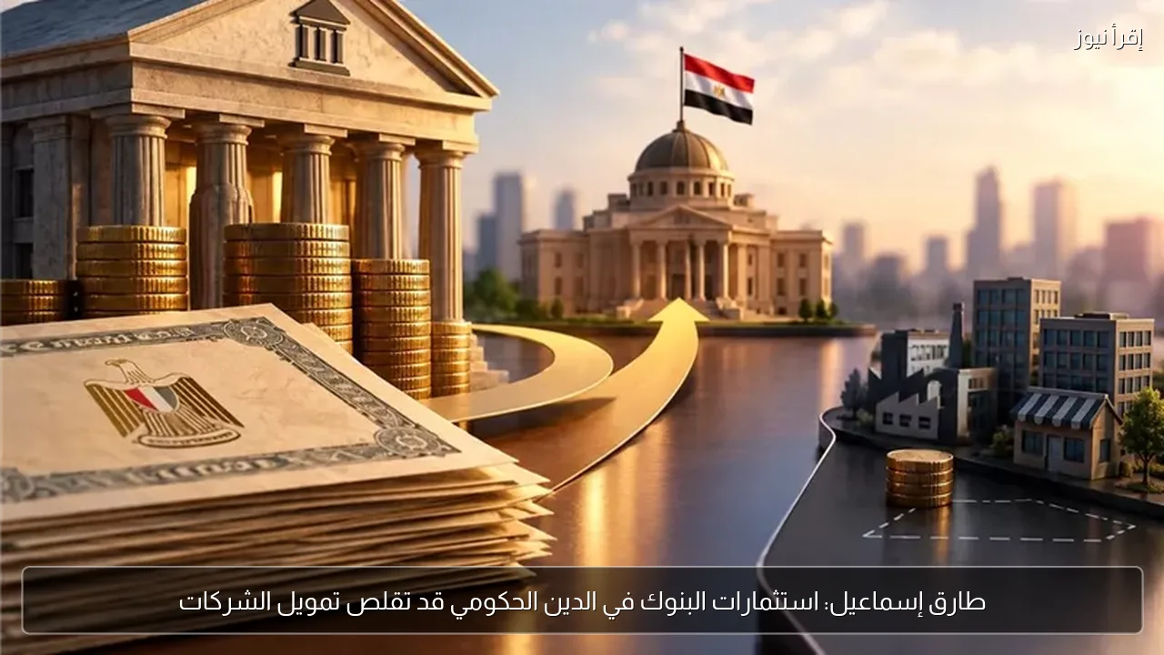 طارق إسماعيل: استثمارات البنوك في الدين الحكومي قد تقلص تمويل الشركات