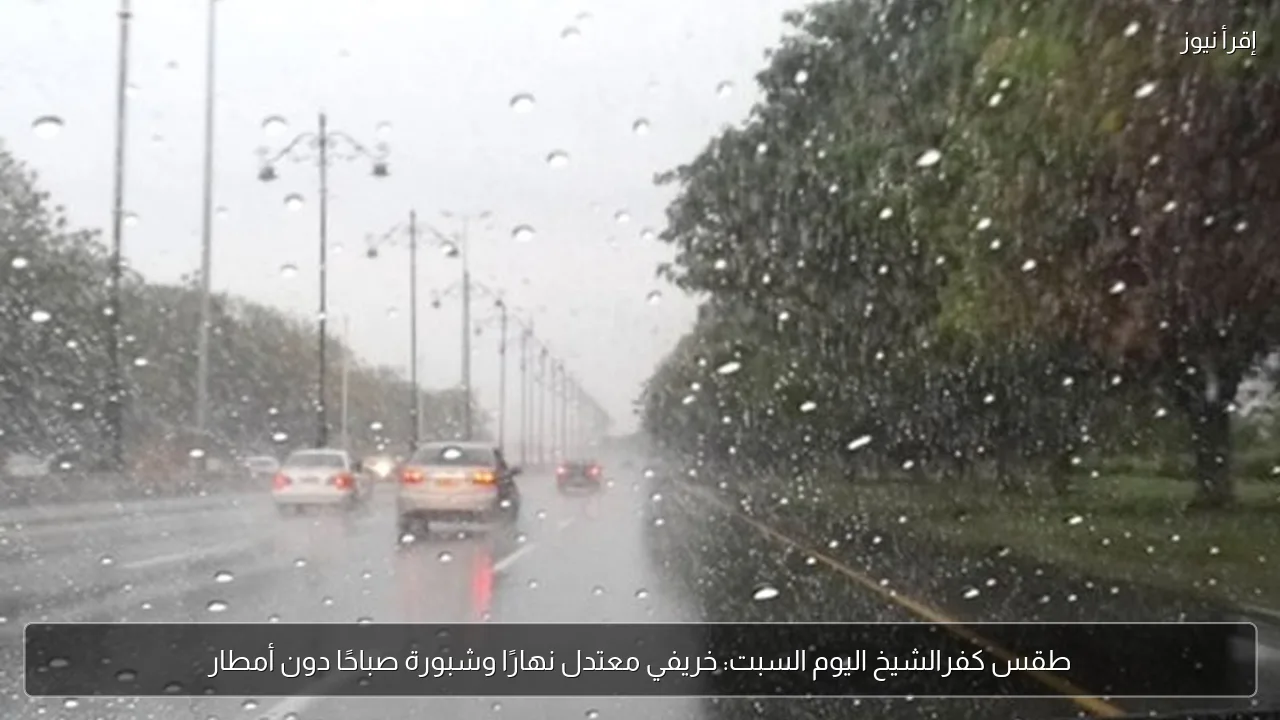 طقس كفرالشيخ اليوم السبت: خريفي معتدل نهارًا وشبورة صباحًا دون أمطار