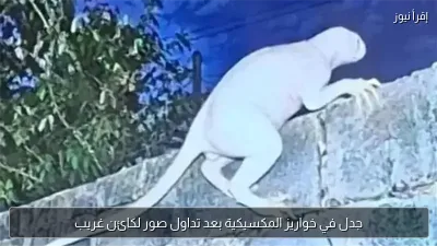 جدل في خواريز المكسيكية بعد تداول صور لكائن غريب