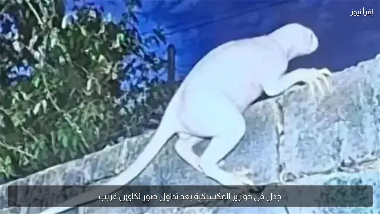 جدل في خواريز المكسيكية بعد تداول صور لكائن غريب