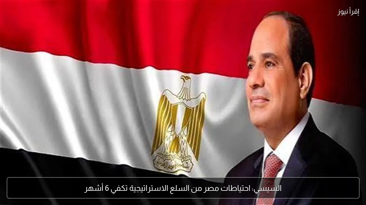 السيسي: احتياطات مصر من السلع الاستراتيجية تكفي 6 أشهر
