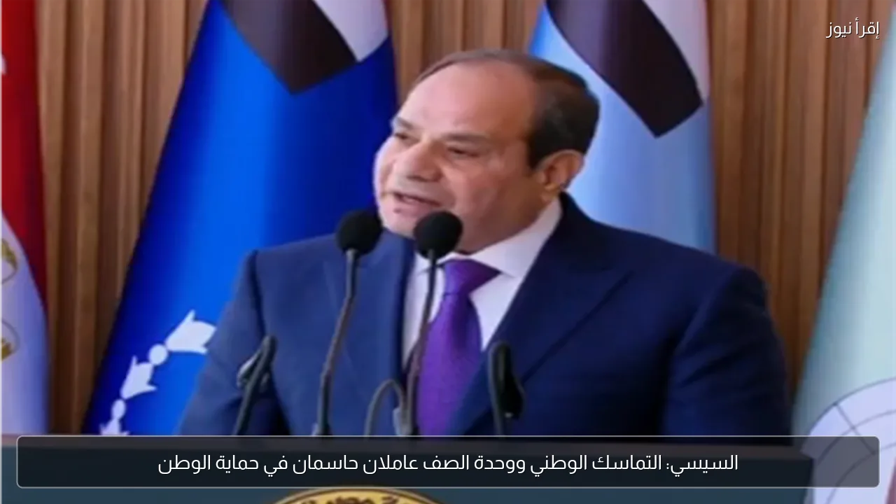 السيسي: التماسك الوطني ووحدة الصف عاملان حاسمان في حماية الوطن