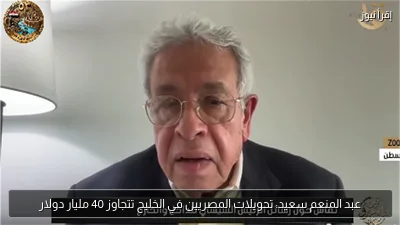 عبد المنعم سعيد: تحويلات المصريين في الخليج تتجاوز 40 مليار دولار