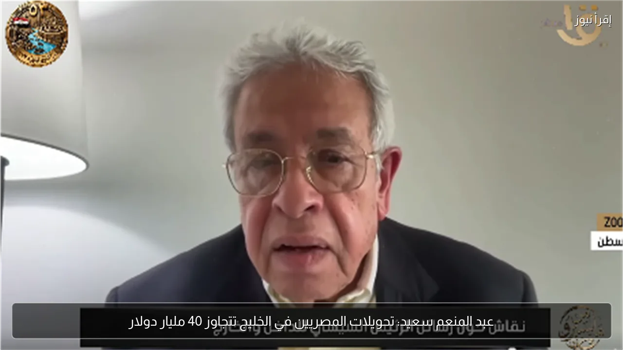 عبد المنعم سعيد: تحويلات المصريين في الخليج تتجاوز 40 مليار دولار