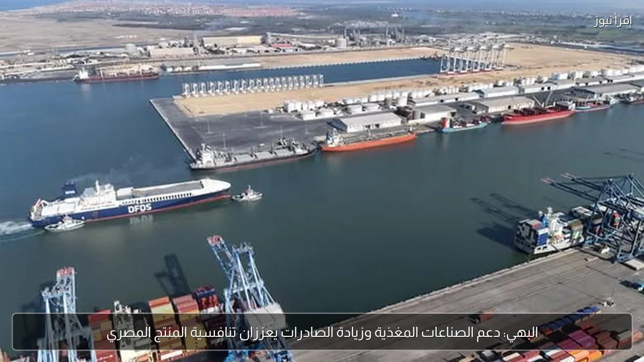 البهي: دعم الصناعات المغذية وزيادة الصادرات يعززان تنافسية المنتج المصري