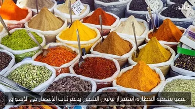 عضو بشعبة العطارة: استقرار نولون الشحن يدعم ثبات الأسعار في الأسواق