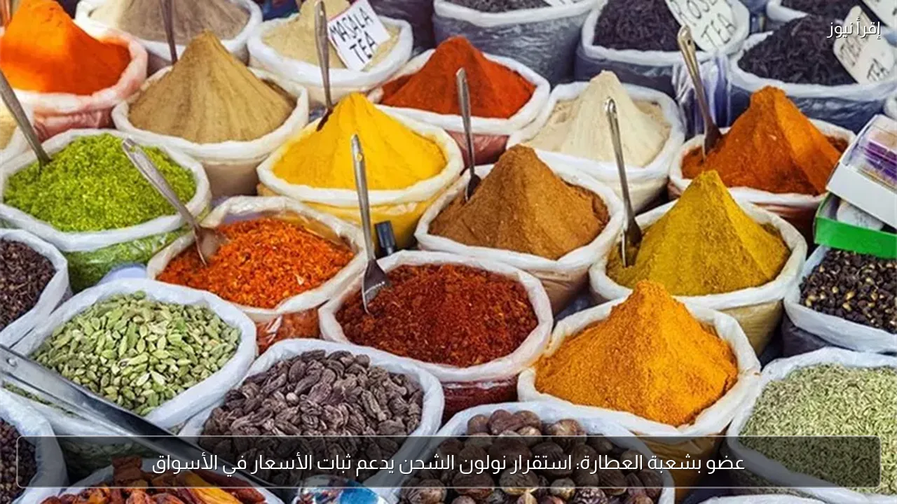 عضو بشعبة العطارة: استقرار نولون الشحن يدعم ثبات الأسعار في الأسواق