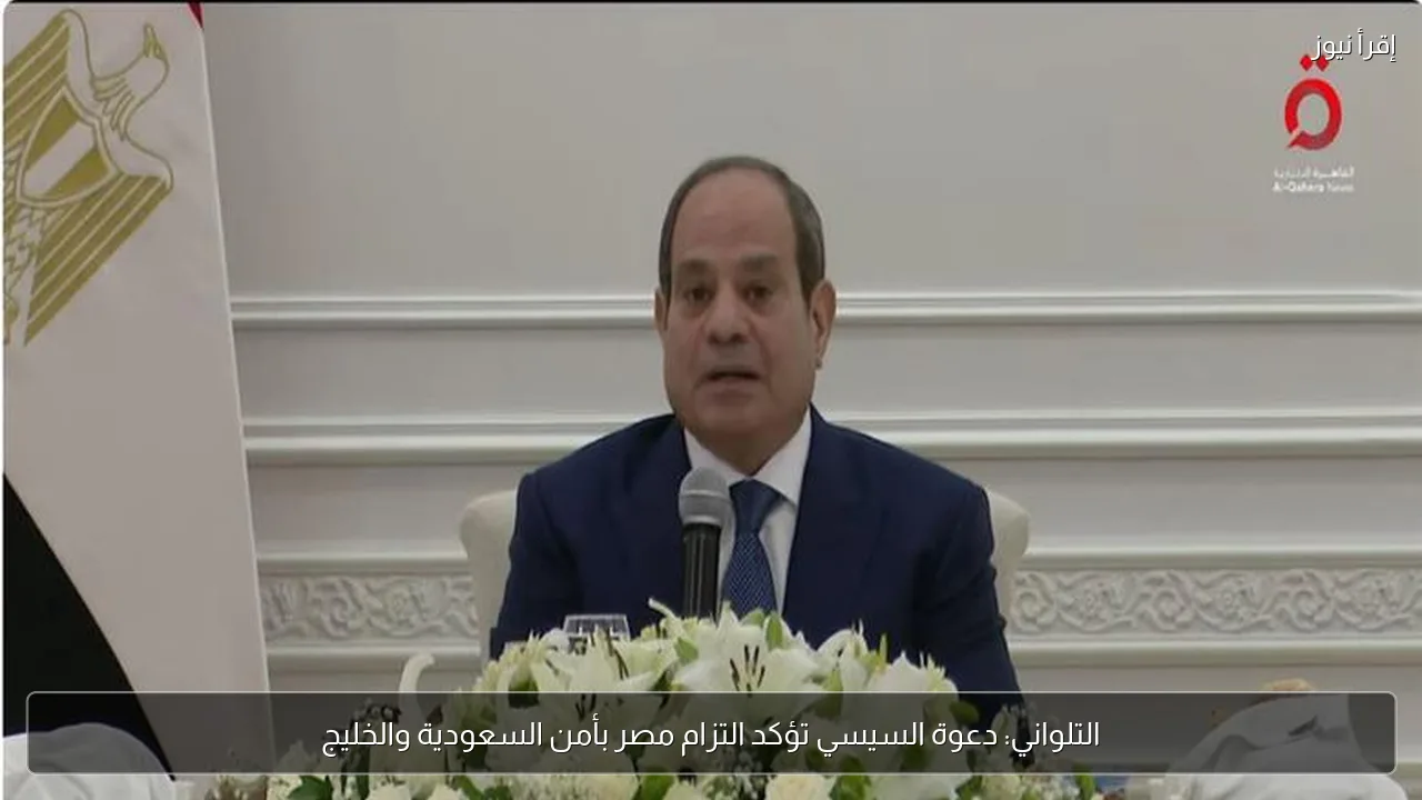 التلواني: دعوة السيسي تؤكد التزام مصر بأمن السعودية والخليج