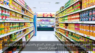 المنوفي: ارتفاع الدولار يضغط على بعض السلع والمخزون الاستراتيجي يدعم استقرار الأسواق