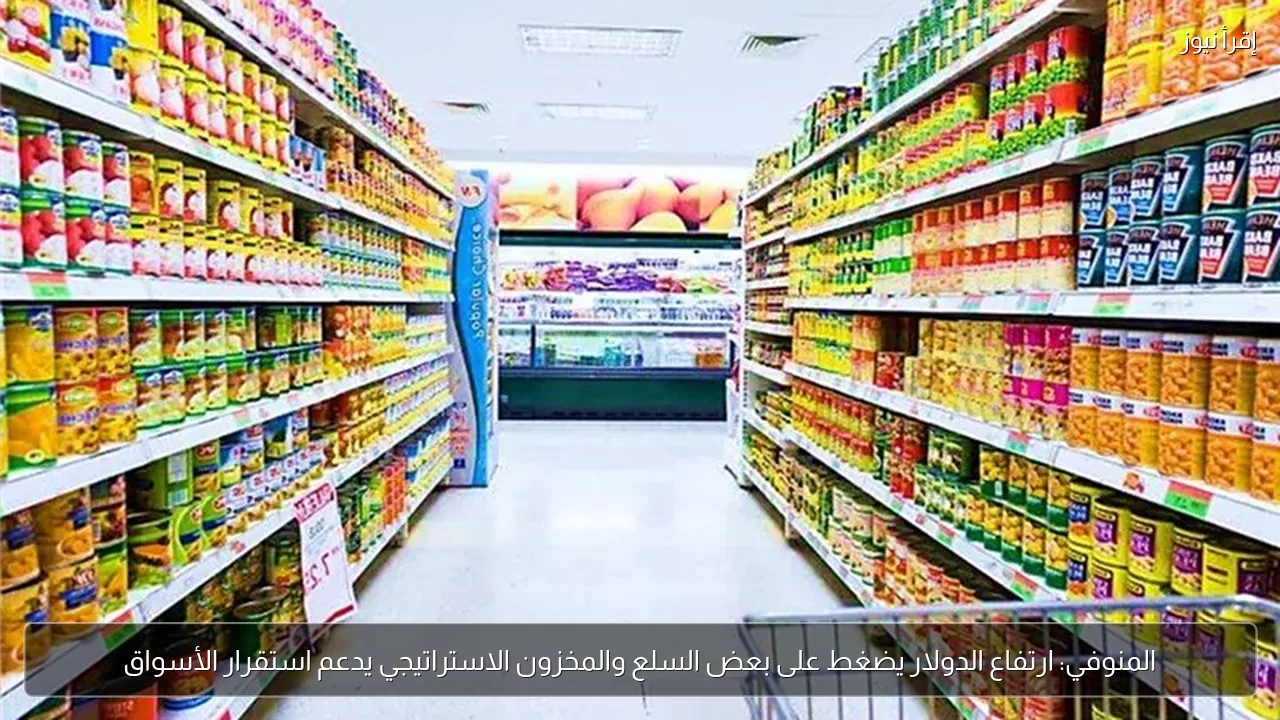 المنوفي: ارتفاع الدولار يضغط على بعض السلع والمخزون الاستراتيجي يدعم استقرار الأسواق