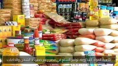 شعبة المواد الغذائية: توافر السلع في مصر رغم ضغوط الشحن والخامات
