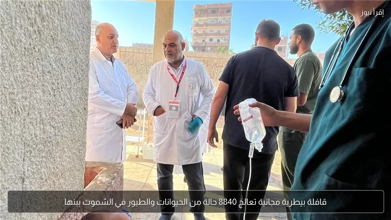 قافلة بيطرية مجانية تعالج 8840 حالة من الحيوانات والطيور في الشموت ببنها