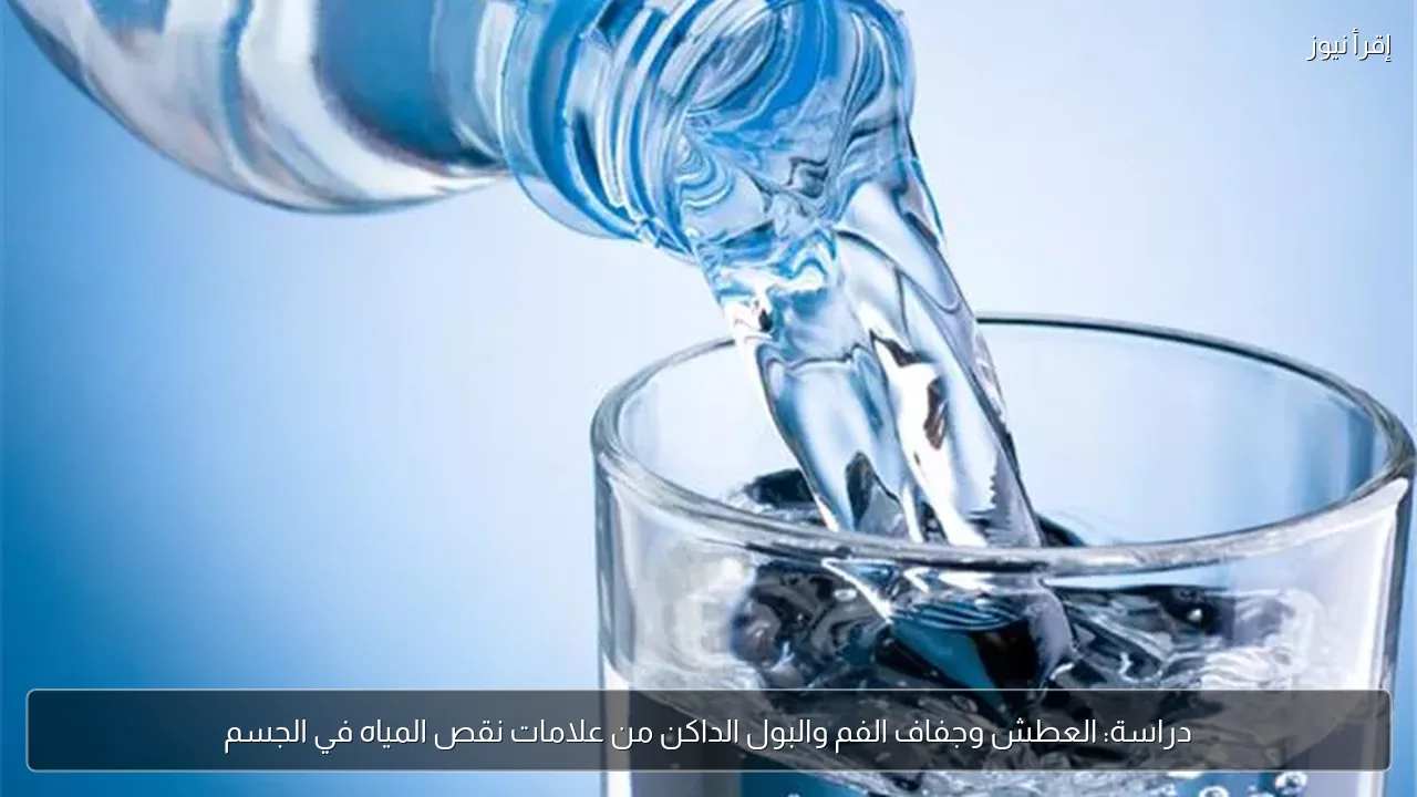 دراسة: العطش وجفاف الفم والبول الداكن من علامات نقص المياه في الجسم