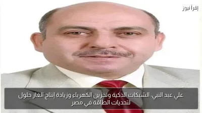 علي عبد النبي: الشبكات الذكية وتخزين الكهرباء وزيادة إنتاج الغاز حلول لتحديات الطاقة في مصر