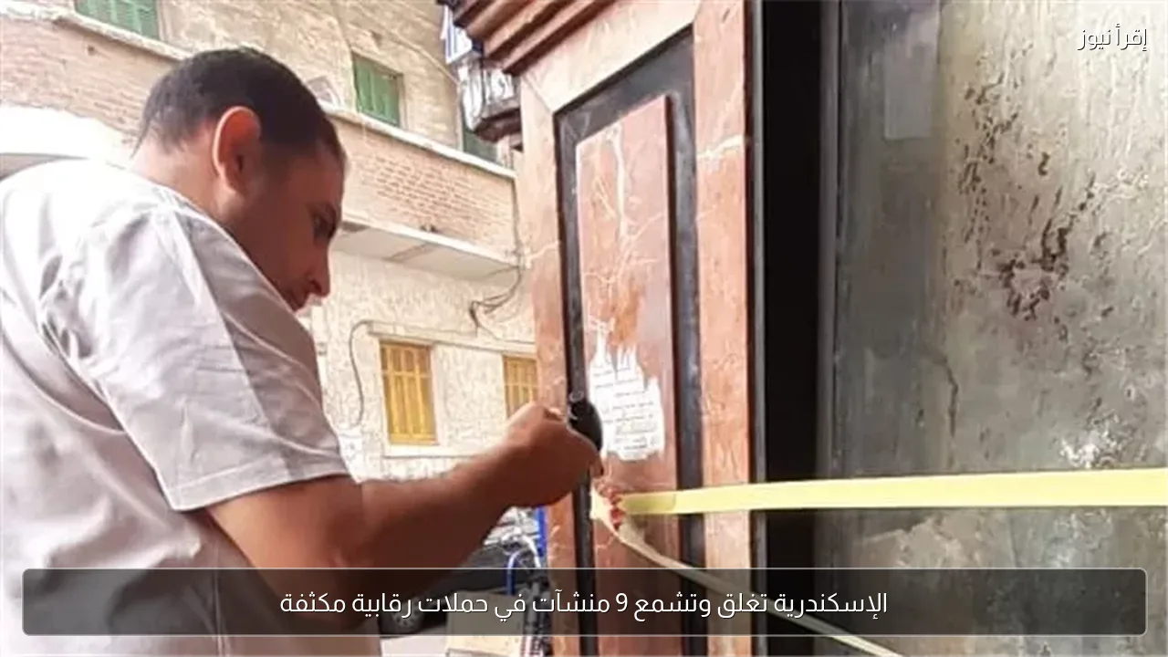 الإسكندرية تغلق وتشمع 9 منشآت في حملات رقابية مكثفة