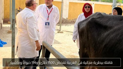 قافلة بيطرية مجانية في الغربية تفحص 1500 طائر و114 حيوانًا وماشية