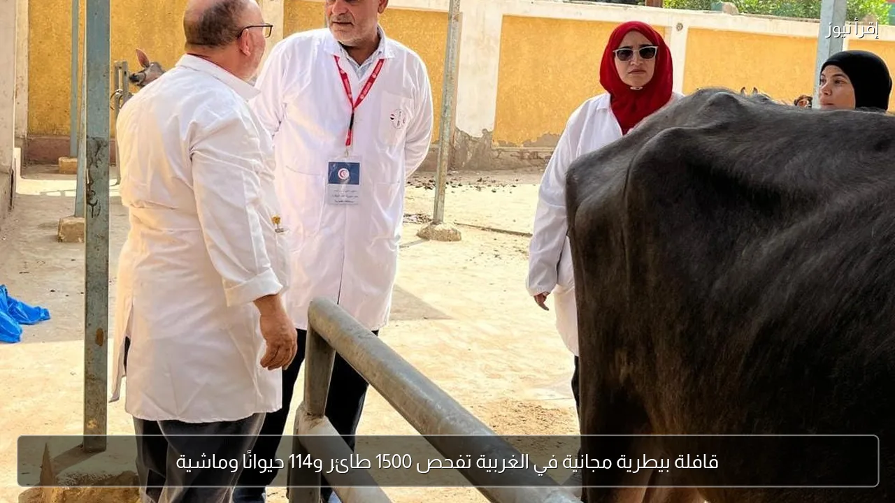 قافلة بيطرية مجانية في الغربية تفحص 1500 طائر و114 حيوانًا وماشية
