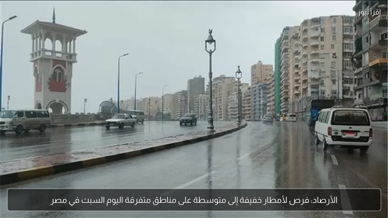 الأرصاد: فرص لأمطار خفيفة إلى متوسطة على مناطق متفرقة اليوم السبت في مصر