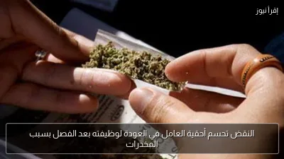 النقض تحسم أحقية العامل في العودة لوظيفته بعد الفصل بسبب المخدرات