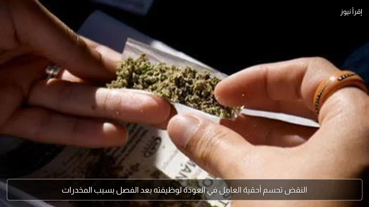 النقض تحسم أحقية العامل في العودة لوظيفته بعد الفصل بسبب المخدرات