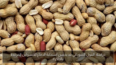 دراسة: الفول السوداني قد يحسن استجابة الدماغ للأنسولين المرتبط بالذاكرة