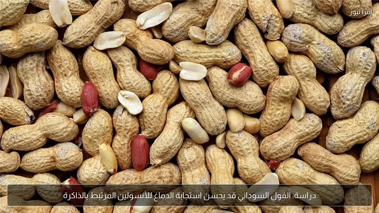دراسة: الفول السوداني قد يحسن استجابة الدماغ للأنسولين المرتبط بالذاكرة