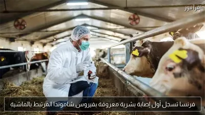 فرنسا تسجل أول إصابة بشرية معروفة بفيروس شاموندا المرتبط بالماشية