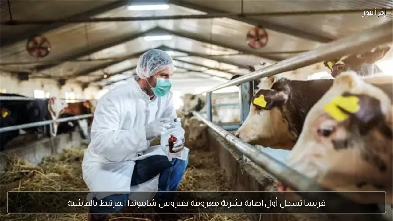 فرنسا تسجل أول إصابة بشرية معروفة بفيروس شاموندا المرتبط بالماشية