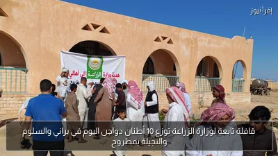 قافلة تابعة لوزارة الزراعة توزع 10 أطنان دواجن اليوم في براني والسلوم والنجيلة بمطروح