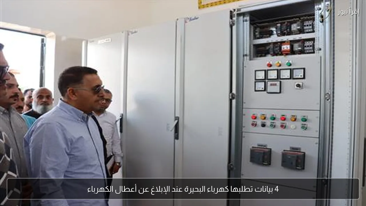 4 بيانات تطلبها كهرباء البحيرة عند الإبلاغ عن أعطال الكهرباء