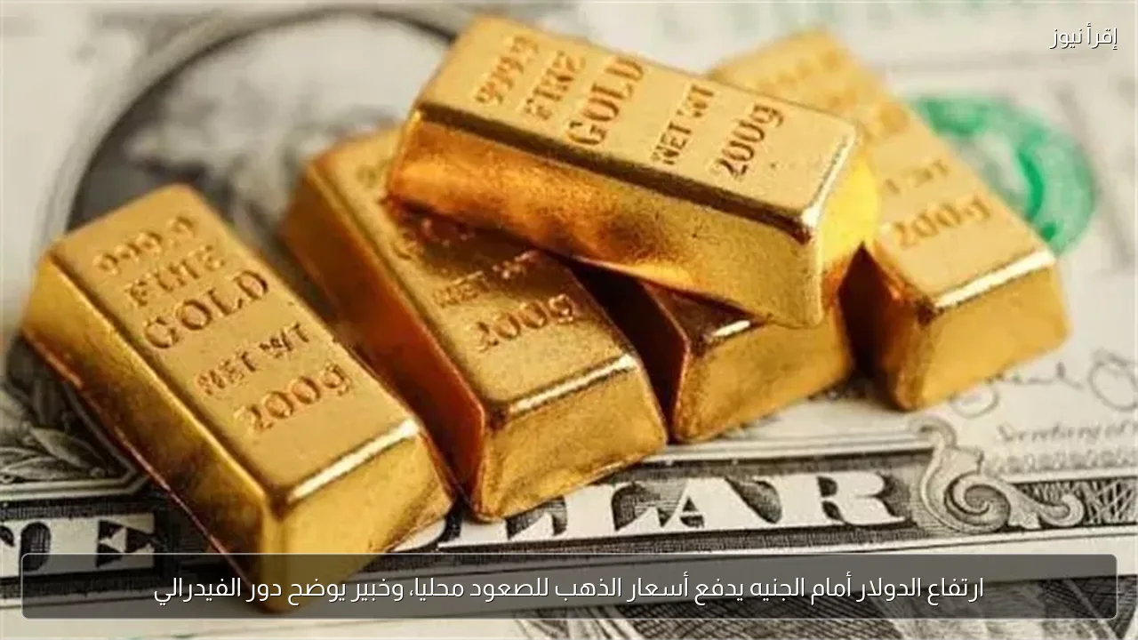 ارتفاع الدولار أمام الجنيه يدفع أسعار الذهب للصعود محليا، وخبير يوضح دور الفيدرالي