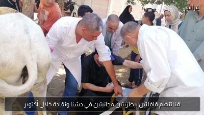 قنا تنظم قافلتين بيطريتين مجانيتين في دشنا ونقادة خلال أكتوبر