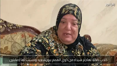 كلاب ضالة تهاجم سيدة من ذوي الهمم ببورسعيد وتسبب لها إصابتين