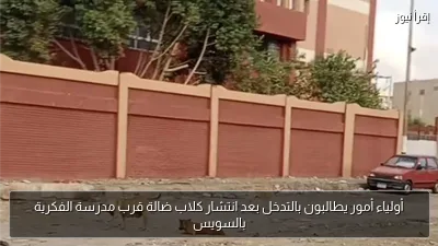 أولياء أمور يطالبون بالتدخل بعد انتشار كلاب ضالة قرب مدرسة الفكرية بالسويس