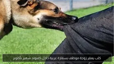 كلب يعقر زوجة موظف بسفارة عربية داخل كمبوند شهير بأكتوبر