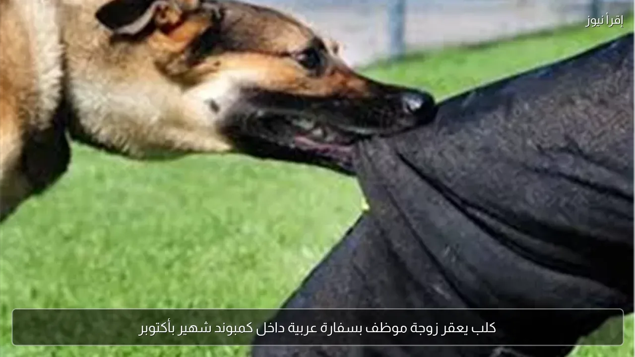 كلب يعقر زوجة موظف بسفارة عربية داخل كمبوند شهير بأكتوبر