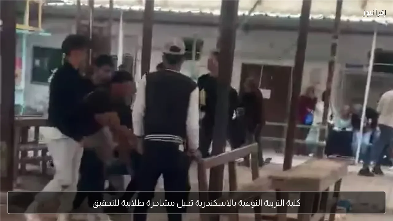 كلية التربية النوعية بالإسكندرية تحيل مشاجرة طلابية للتحقيق