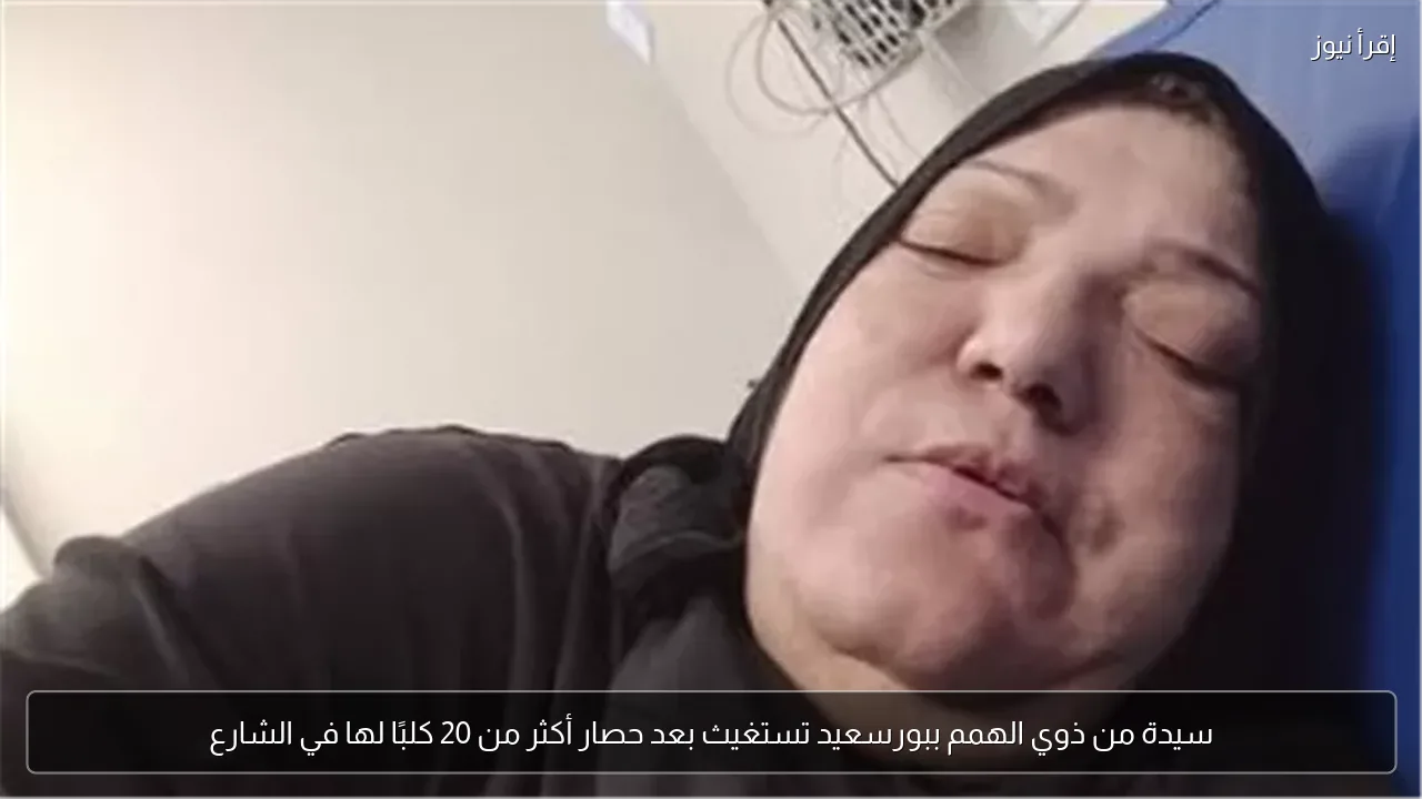 سيدة من ذوي الهمم ببورسعيد تستغيث بعد حصار أكثر من 20 كلبًا لها في الشارع