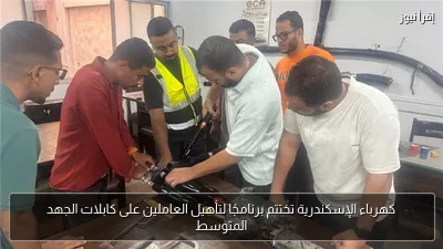 كهرباء الإسكندرية تختتم برنامجًا لتأهيل العاملين على كابلات الجهد المتوسط