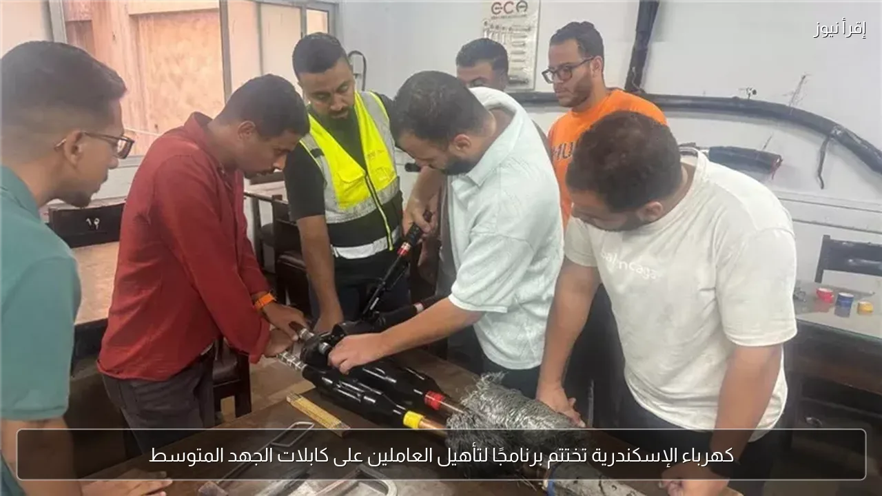 كهرباء الإسكندرية تختتم برنامجًا لتأهيل العاملين على كابلات الجهد المتوسط