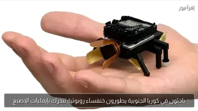 باحثون في كوريا الجنوبية يطورون خنفساء روبوتية تتحرك بإيماءات الإصبع