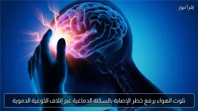 تلوث الهواء يرفع خطر الإصابة بالسكتة الدماغية عبر إتلاف الأوعية الدموية