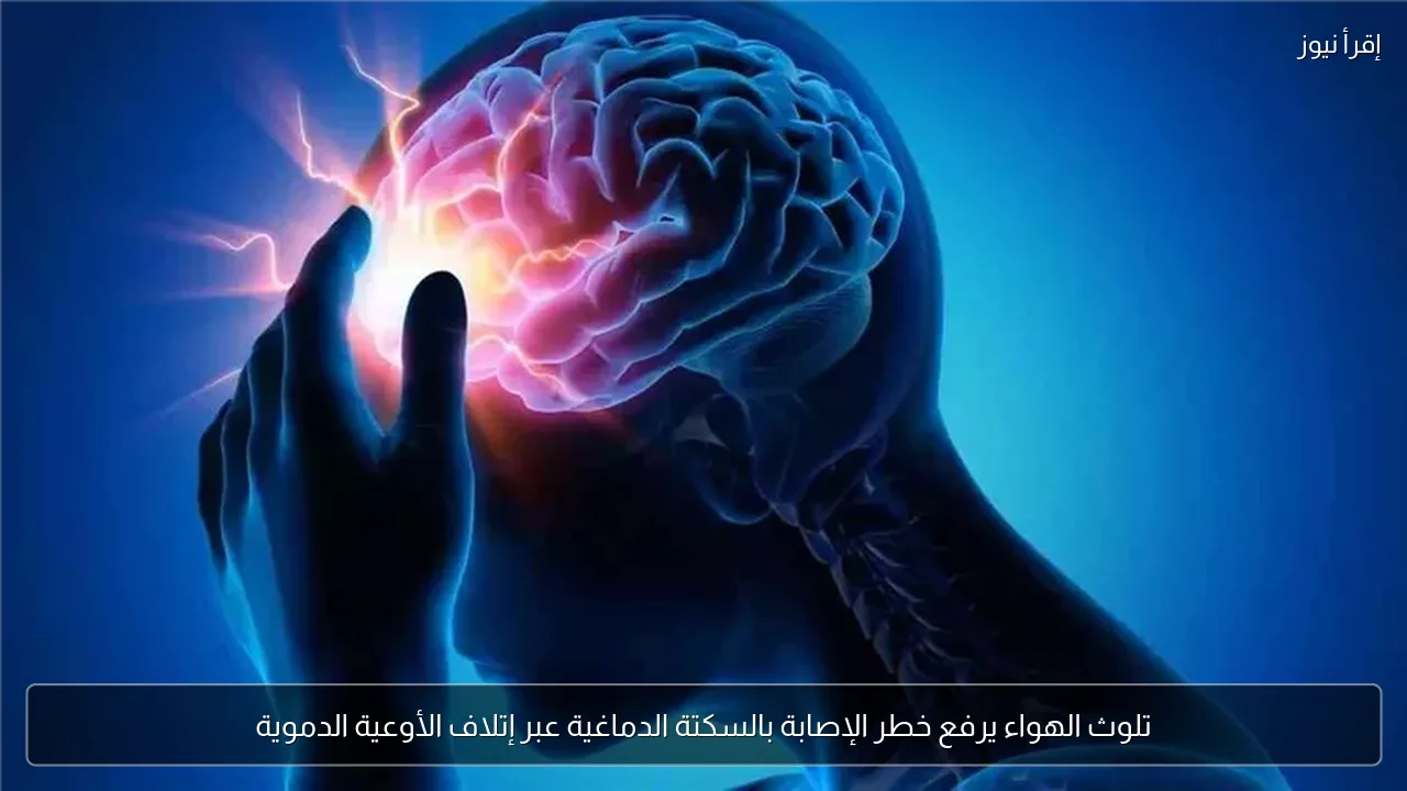 تلوث الهواء يرفع خطر الإصابة بالسكتة الدماغية عبر إتلاف الأوعية الدموية