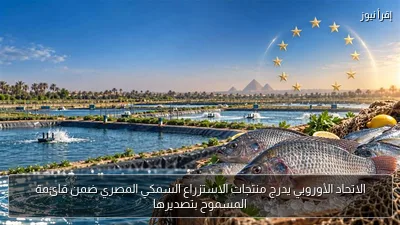 الاتحاد الأوروبي يدرج منتجات الاستزراع السمكي المصري ضمن قائمة المسموح بتصديرها