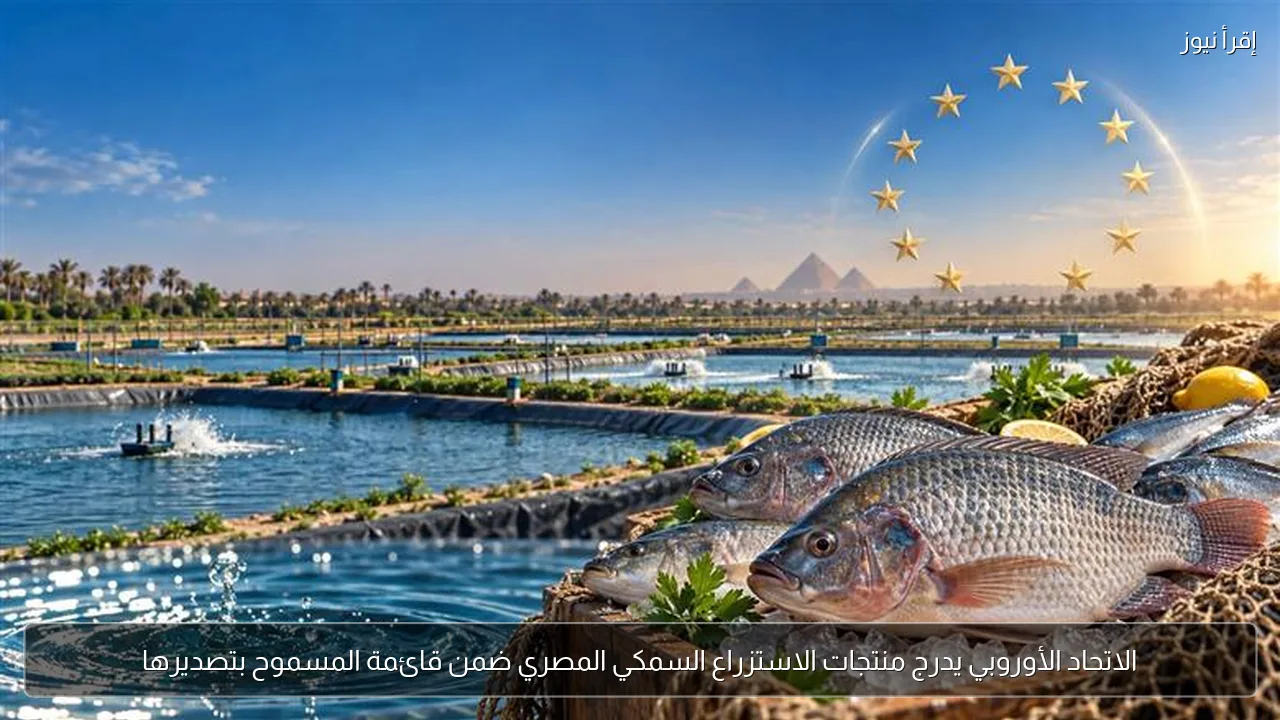 الاتحاد الأوروبي يدرج منتجات الاستزراع السمكي المصري ضمن قائمة المسموح بتصديرها