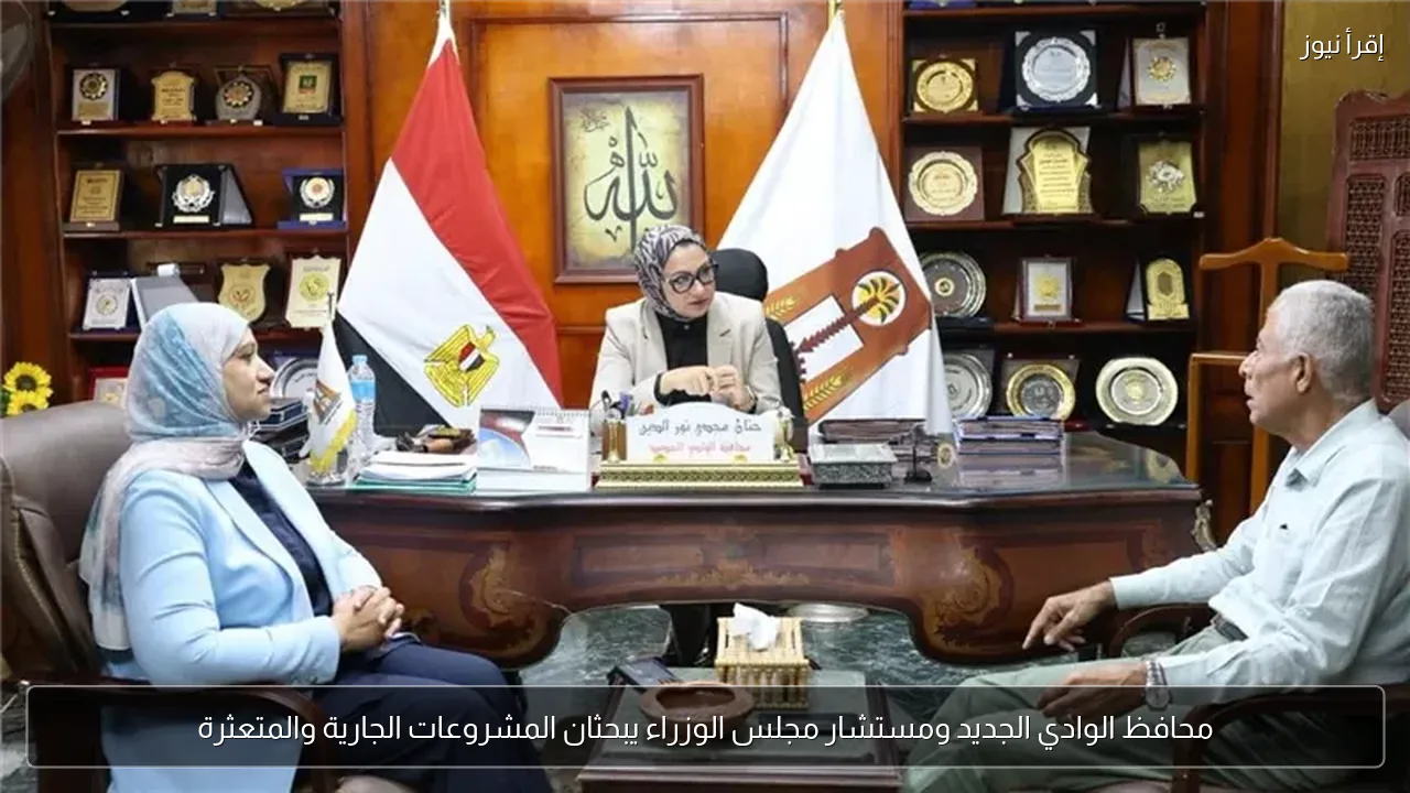 محافظ الوادي الجديد ومستشار مجلس الوزراء يبحثان المشروعات الجارية والمتعثرة