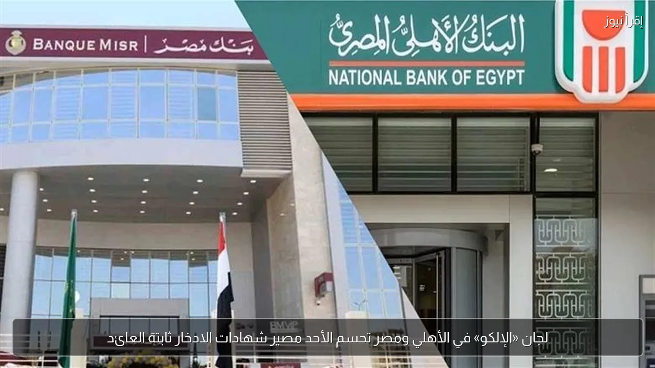 لجان «الإلكو» في الأهلي ومصر تحسم الأحد مصير شهادات الادخار ثابتة العائد